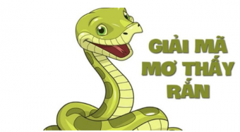 Ý nghĩa thực sự đằng sau giấc mơ thấy rắn